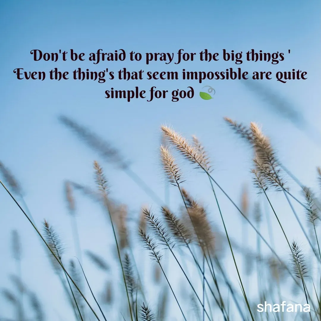 Quote by shifa - Don't be afraid to pray for the big things '
Even the thing's that seem impossible are quite
simple for god 🍃 - Made using Quotes Creator App, Post Maker App