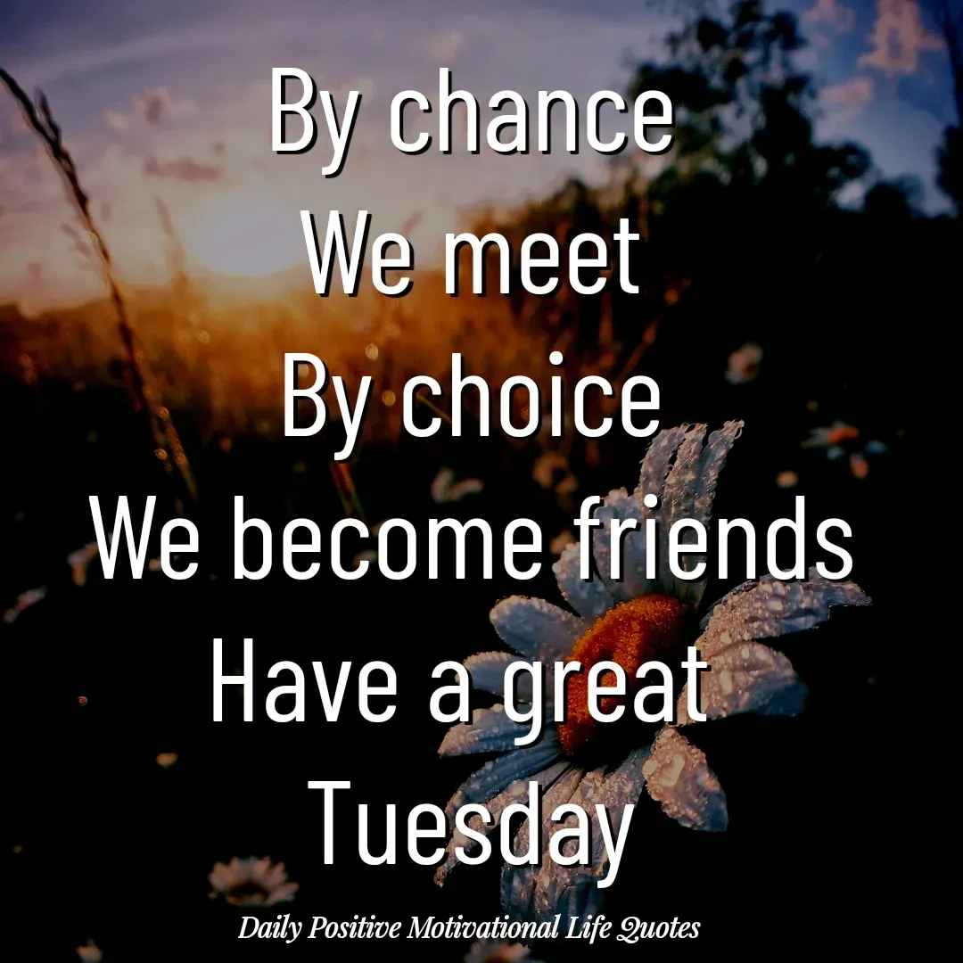 Quote by Daily Positive Motivational Life Quotes - By chance
We meet
By choice
We become friends
Have a great 
Tuesday - Made using Quotes Creator App, Post Maker App