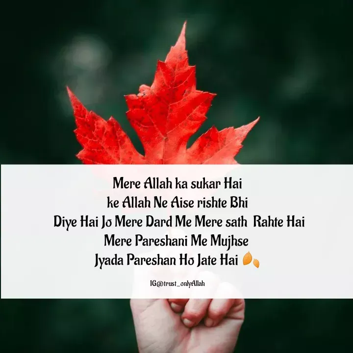 Quote by Yasmin Cyasmin - Mere Allah ka sukar Hai
ke Allah Ne Aise rishte Bhi
 Diye Hai Jo Mere Dard Me Mere sath  Rahte Hai
Mere Pareshani Me Mujhse 
Jyada Pareshan Ho Jate Hai 🍂

IG@trust_onlyAllah - Made using Quotes Creator App, Post Maker App