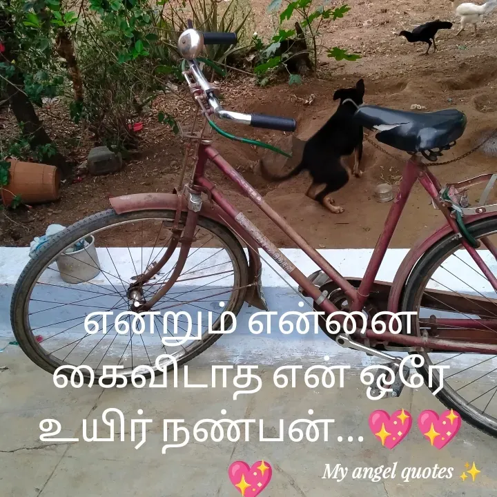 Quote by My Angel 😇 - என்றும் என்னை கைவிடாத என் ஒரே உயிர் நண்பன்...💖💖💖 - Made using Quotes Creator App, Post Maker App
