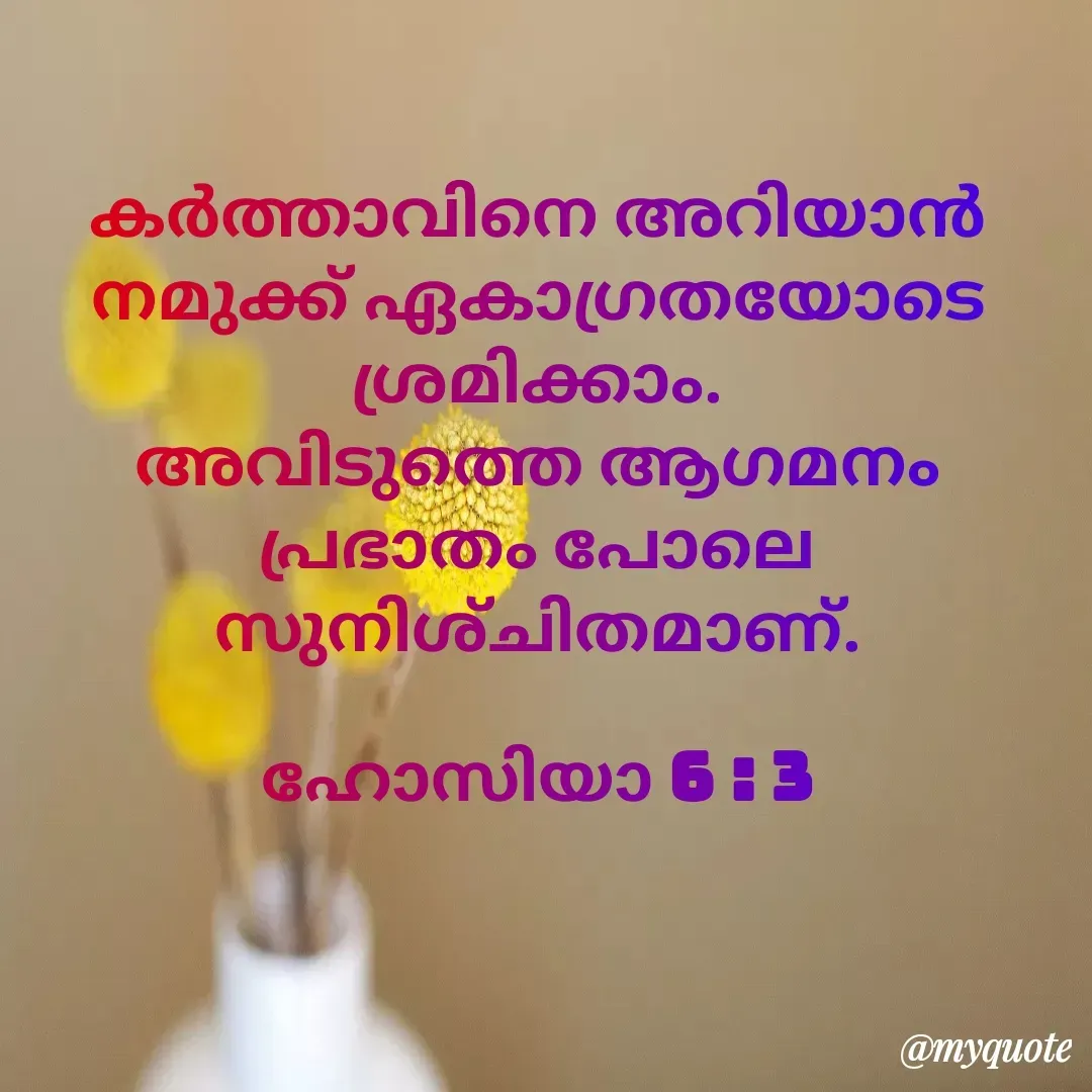 Quote by Nerphin Vincent - കര്‍ത്താവിനെ അറിയാന്‍ നമുക്ക്‌ ഏകാഗ്രതയോടെ ശ്രമിക്കാം.
അവിടുത്തെ ആഗമനം പ്രഭാതം പോലെ സുനിശ്‌ചിതമാണ്‌.

ഹോസിയാ 6 : 3 - Made using Quotes Creator App, Post Maker App