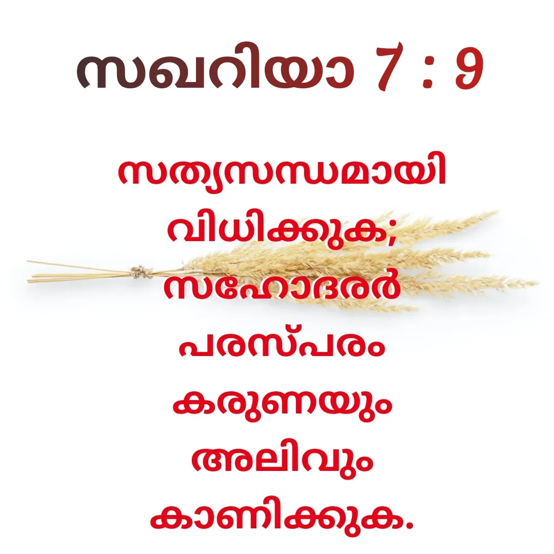 Quote by Nerphin Vincent - സത്യസന്ധമായി
വിധിക്കുക;
സഹോദരര്‍
പരസ്‌പരം
കരുണയും
അലിവും
കാണിക്കുക.

സഖറിയാ 7 : 9 - Made using Quotes Creator App, Post Maker App