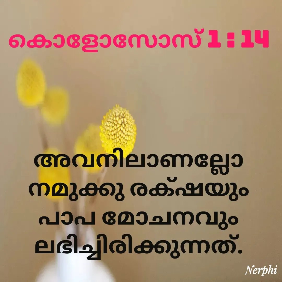 Quote by Nerphin Vincent - അവനിലാണല്ലോ നമുക്കു രക്‌ഷയും പാപ മോചനവും ലഭിച്ചിരിക്കുന്നത്‌.

കൊളോസോസ്‌ 1 : 14 - Made using Quotes Creator App, Post Maker App