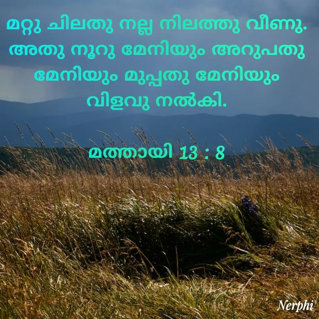Quote by Nerphin Vincent - മറ്റു ചിലതു നല്ല നിലത്തു വീണു. അതു നൂറു മേനിയും അറുപതു മേനിയും മുപ്പതു മേനിയും വിളവു നല്‍കി.

മത്തായി 13 : 8 - Made using Quotes Creator App, Post Maker App