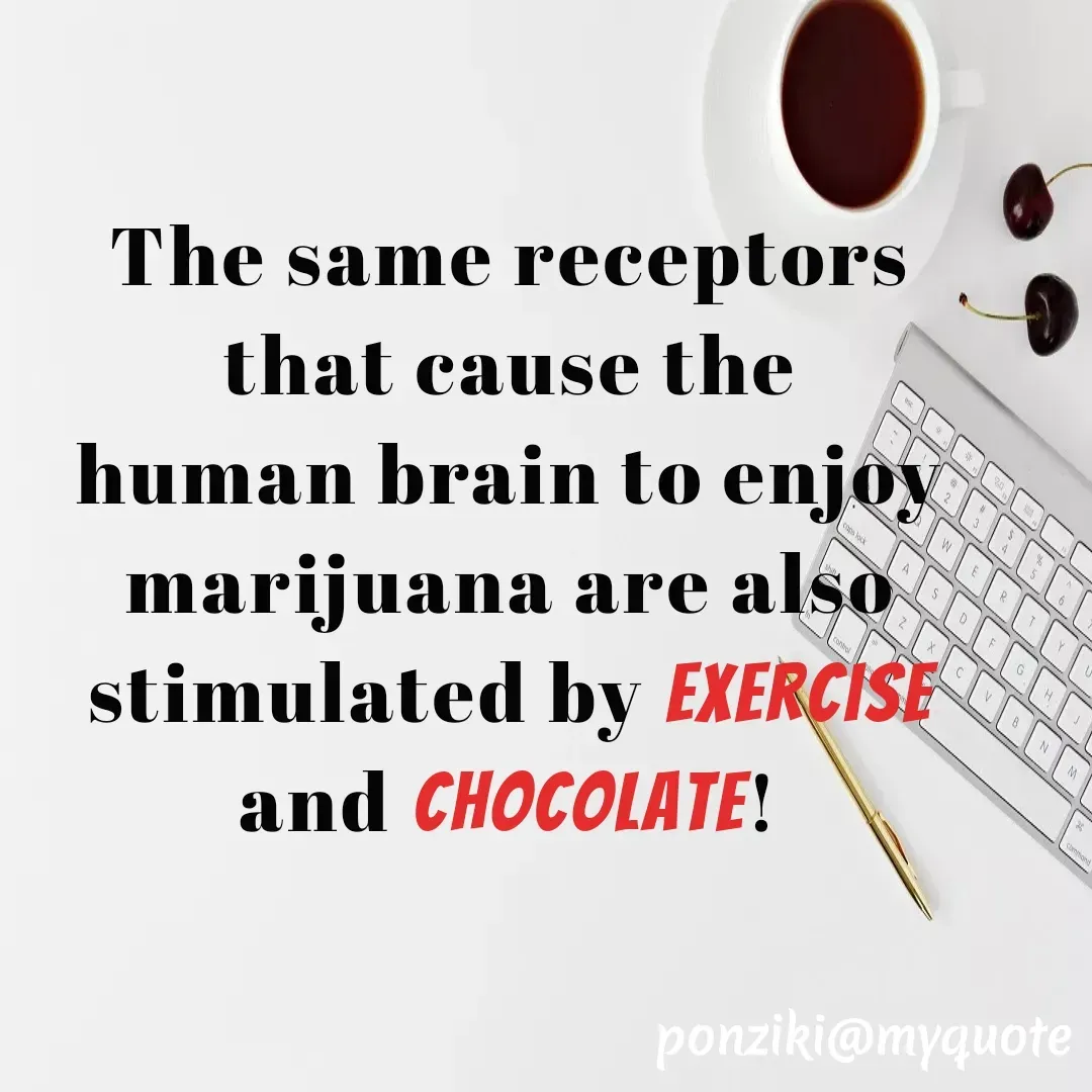 Quote by Diane Simmons - The same receptors that cause the human brain to enjoy marijuana are also stimulated by exercise and chocolate! - Made using Quotes Creator App, Post Maker App