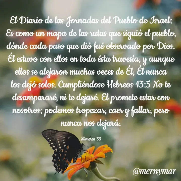 Quote by Merny Tona - El Diario de las Jornadas del Pueblo de Israel: Es como un mapa de las rutas que siguió el pueblo, dónde cada paso que dió fué observado por Dios. Él estuvo con ellos en toda ésta travesía, y aunque ellos se alejaron muchas veces de Él, Él nunca los dejó solos. Cumpliéndose Hebreos 13:5 No te desampararé, ni te dejaré. El promete estar con nosotros; podemos tropezar, caer y fallar, pero nunca nos dejará.

Números 33 - Made using Quotes Creator App, Post Maker App