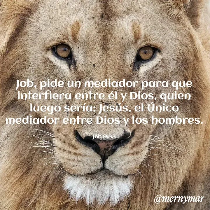 Quote by Merny Tona - Job, pide un mediador para que interfiera entre él y Dios, quien luego sería: Jesús, el Único mediador entre Dios y los hombres.

Job 9:33 - Made using Quotes Creator App, Post Maker App