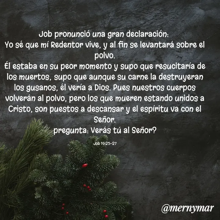 Quote by Merny Tona - Job pronunció una gran declaración: 
Yo sé que mí Redentor vive, y al fin se levantará sobre el polvo.
Él estaba en su peor momento y supo que resucitaría de los muertos; supo que aunque su carne la destruyeran los gusanos, él vería a Dios. Pues nuestros cuerpos volverán al polvo, pero los que mueren estando unidos a Cristo, son puestos a descansar y el espíritu va con el Señor.
pregunta: Verás tú al Señor?

Job 19:25-27 - Made using Quotes Creator App, Post Maker App