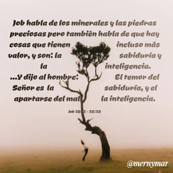 Quote by Merny Tona - Job habla de los minerales y las piedras preciosas pero también habla de que hay cosas que tienen                                incluso más valor, y son: la                                        sabiduría y
               la                                        inteligencia.
...Y dijo al hombre:                         El temor del Señor es  la                                   sabiduría, y el apartarse del mal,             la inteligencia.

Job 28:12 - 28:28 - Made using Quotes Creator App, Post Maker App