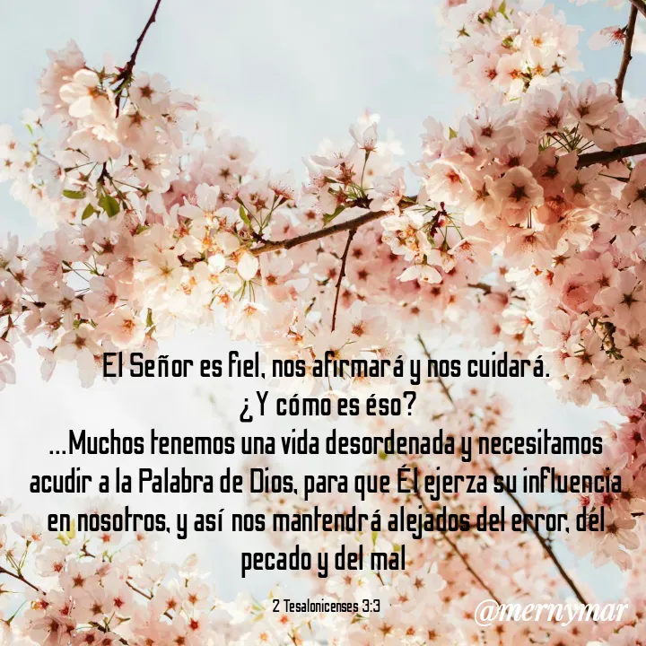 Quote by Merny Tona - El Señor es fiel, nos afirmará y nos cuidará.
 ¿Y cómo es éso?
...Muchos tenemos una vida desordenada y necesitamos acudir a la Palabra de Dios, para que Él ejerza su influencia en nosotros, y así nos mantendrá alejados del error, del pecado y del mal 

2 Tesalonicenses 3:3 - Made using Quotes Creator App, Post Maker App
