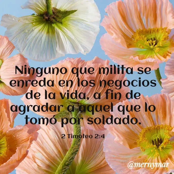 Quote by Merny Tona - Ninguno que milita se enreda en los negocios de la vida, a fin de agradar a aquel que lo tomó por soldado.

2 Timoteo 2:4 - Made using Quotes Creator App, Post Maker App
