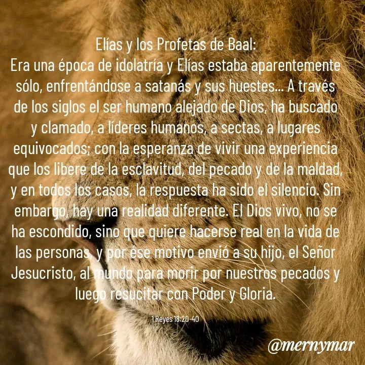 Quote by Merny Tona - Elías y los Profetas de Baal:
Era una época de idolatría y Elías estaba aparentemente sólo, enfrentándose a satanás y sus huestes... A través de los siglos el ser humano alejado de Dios, ha buscado y clamado, a líderes humanos, a sectas, a lugares equivocados; con la esperanza de vivir una experiencia que los libere de la esclavitud, del pecado y de la maldad, y en todos los casos, la respuesta ha sido el silencio. Sin embargo, hay una realidad diferente. El Dios vivo, no se ha escondido, sino que quiere hacerse real en la vida de las personas, y por ése motivo envió a su hijo, el Señor Jesucristo, al mundo para morir por nuestros pecados y luego resucitar con Poder y Gloria.

1 Reyes 18:20-40 - Made using Quotes Creator App, Post Maker App