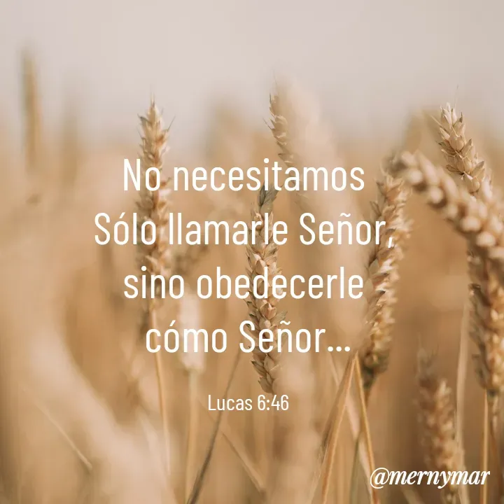 Quote by Merny Tona - No necesitamos 
Sólo llamarle Señor, 
sino obedecerle 
cómo Señor...

Lucas 6:46 - Made using Quotes Creator App, Post Maker App