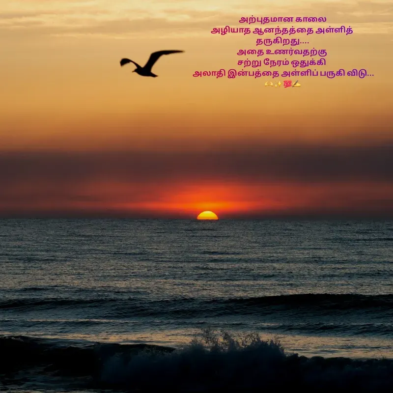 Quote by Padmpriya durairaj - அற்புதமான காலை
அழியாத ஆனந்தத்தை அள்ளித் 
தருகிறது....
அதை உணர்வதற்கு 
சற்று நேரம் ஒதுக்கி 
 அலாதி இன்பத்தை அள்ளிப் பருகி விடு...
🫶✨💯✍️ - Made using Quotes Creator App, Post Maker App