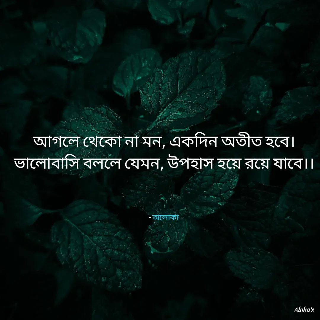 Quote by Aloka Biswas Saha - আগলে থেকো না মন, একদিন অতীত হবে।
ভালোবাসি বললে যেমন, উপহাস হয়ে রয়ে যাবে।।



- অলোকা  - Made using Quotes Creator App, Post Maker App