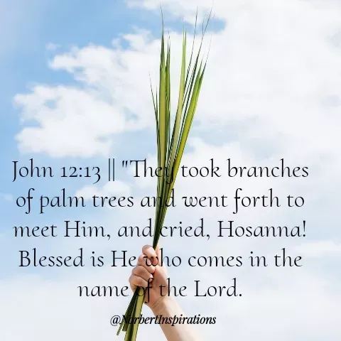Quote by Norbert Tales - 
John 12:13 || "They took branches of palm trees and went forth to meet Him, and cried, Hosanna! Blessed is He who comes in the name of the Lord. - Made using Quotes Creator App, Post Maker App