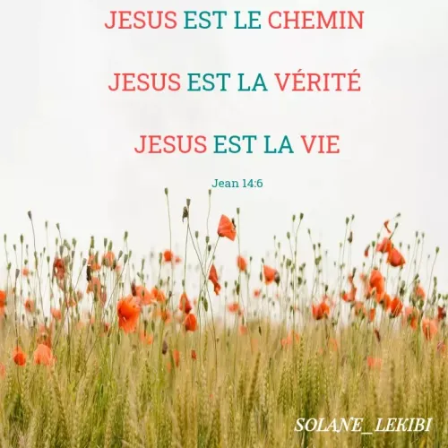 Quote by Solane LEKIBI - JESUS EST LE CHEMIN 

JESUS EST LA VÉRITÉ 

JESUS EST LA VIE

Jean 14:6 - Made using Quotes Creator App, Post Maker App