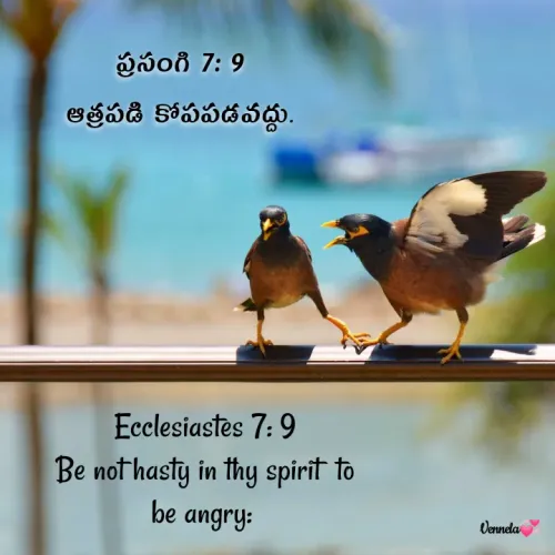Quote by Venny - ప్రసంగి 7: 9
ఆత్రపడి కోపపడవద్దు.

Ecclesiastes 7: 9
Be not hasty in thy spirit  to be angry:  - Made using Quotes Creator App, Post Maker App
