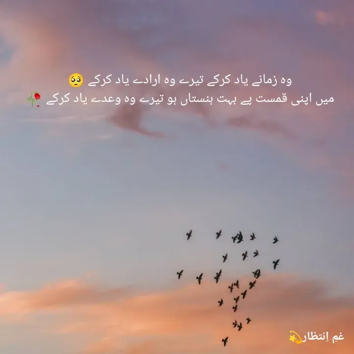 Quote by Areeba Khalid - وہ زمانے یاد کرکے تیرے وہ ارادے یاد کرکے 🥺
میں اپنی قمست پے بہت ہنستاں ہو تیرے وہ وعدے یاد کرکے 🥀
                                                                   - Made using Quotes Creator App, Post Maker App