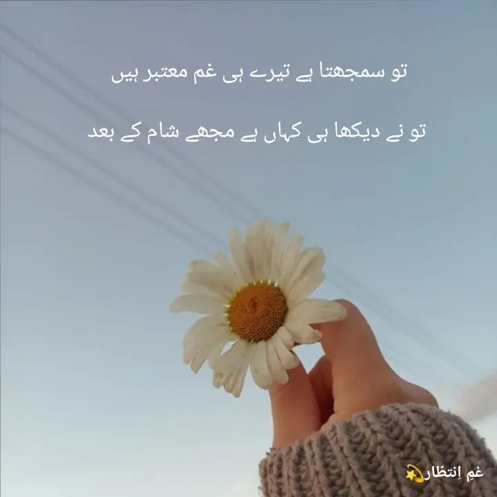 Quote by Areeba Khalid - تو سمجھتا ہے تیرے ہی غم معتبر ہیں

 تو نے دیکھا ہی کہاں ہے مجھے شام کے بعد - Made using Quotes Creator App, Post Maker App