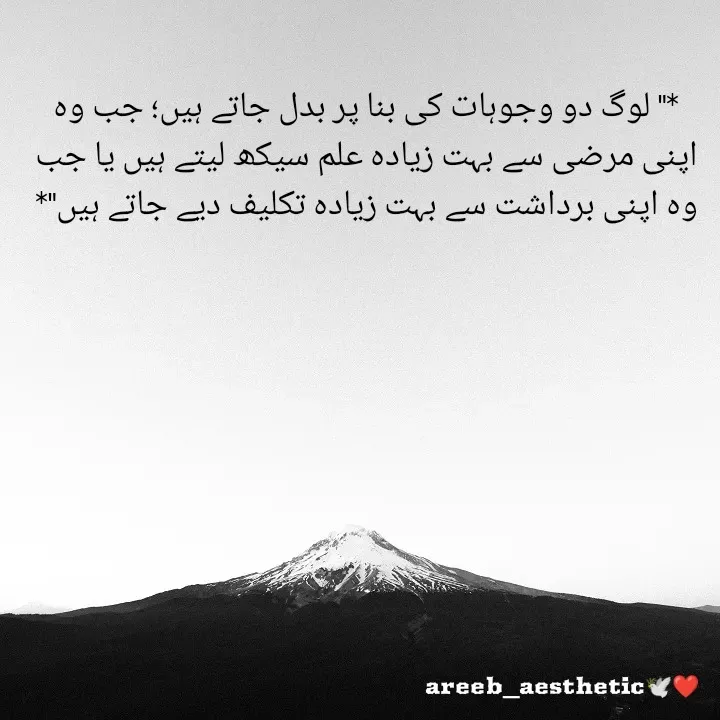Quote by Areeba Khalid - *" لوگ دو وجوہات کی بنا پر بدل جاتے ہیں؛ جب وہ اپنی مرضی سے بہت زیادہ علم سیکھ لیتے ہیں یا جب وہ اپنی برداشت سے بہت زیادہ تکلیف دیے جاتے ہیں"* - Made using Quotes Creator App, Post Maker App