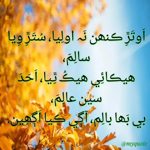 Quote by دانش  علي هوت -  - Made using Quotes Creator App, Post Maker App