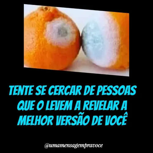 Quote by Thereza Sobral - Tente se cercar de pessoas que o levem a revelar a melhor versão de você - Made using Quotes Creator App, Post Maker App