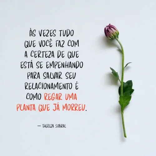 Quote by Thereza Sobral - Às vezes tudo que você faz com a certeza de que está se empenhando para salvar seu relacionamento é como regar uma planta que já morreu.


― Thereza Sobral - Made using Quotes Creator App, Post Maker App