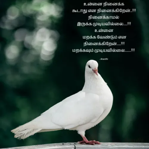 Quote by 💞Ananthi👮.... - உன்னை நினைக்க
கூடாது என நினைக்கிறேன்..!!!
நினைக்காமல் 
இருக்க முடியவில்லை....!!!
உன்னை
 மறக்க வேண்டும் என
நினைக்கிறேன்....!!!
மறக்கவும் முடியவில்லை......!!! 

- Ananthi  - Made using Quotes Creator App, Post Maker App