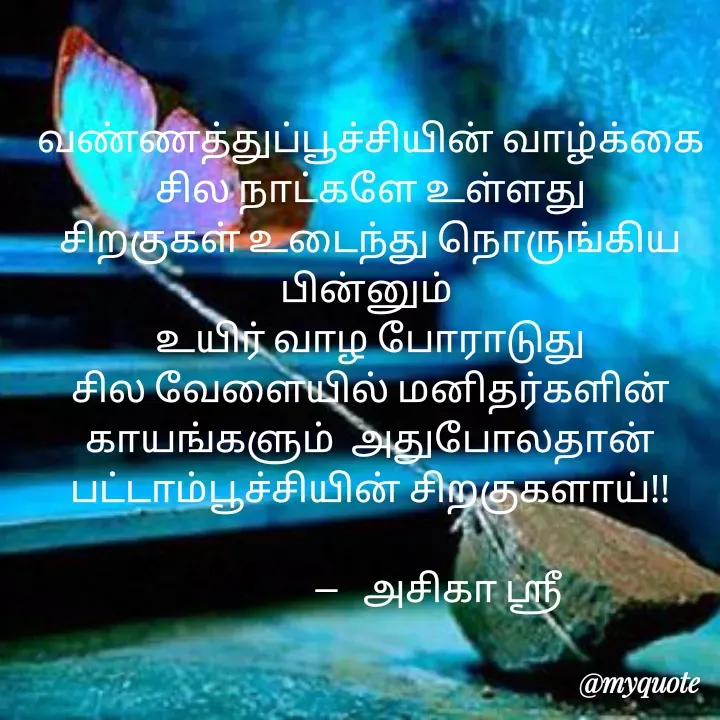 Quote by tamil quotes - வண்ணத்துப்பூச்சியின் வாழ்க்கை சில நாட்களே உள்ளது
சிறகுகள் உடைந்து நொருங்கிய பின்னும் 
உயிர் வாழ போராடுது
சில வேளையில் மனிதர்களின் காயங்களும்  அதுபோலதான்
பட்டாம்பூச்சியின் சிறகுகளாய்!!

                 --   அசிகா ஸ்ரீ - Made using Quotes Creator App, Post Maker App