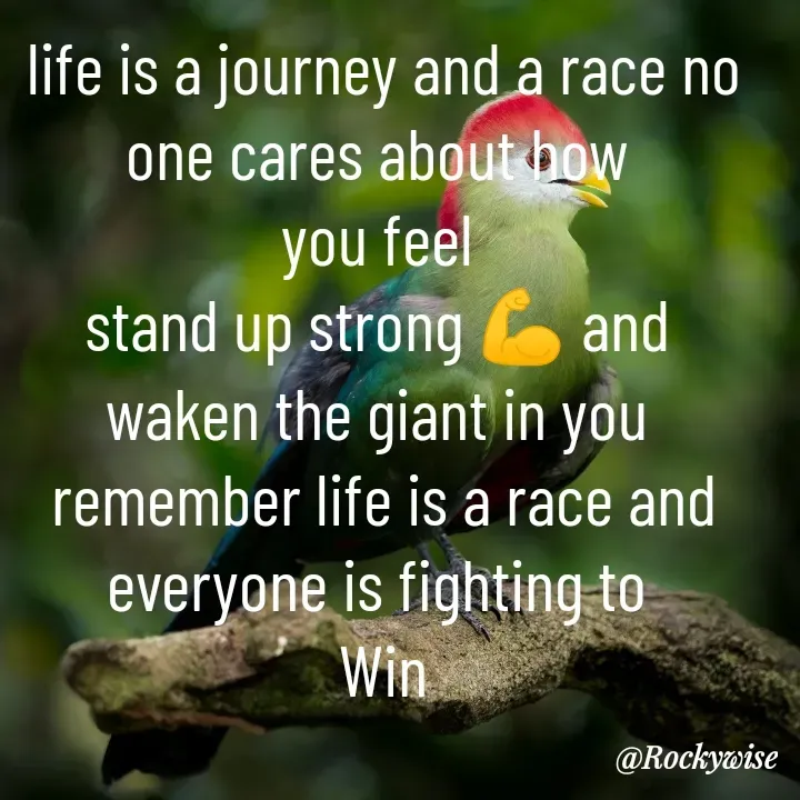 Quote by Vision Empire - life is a journey and a race no one cares about how 
you feel 
stand up strong 💪 and 
waken the giant in you 
remember life is a race and everyone is fighting to 
Win - Made using Quotes Creator App, Post Maker App