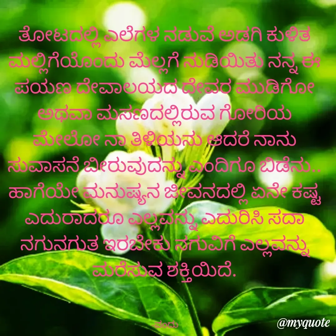 Quote by Vanditha - ತೋಟದಲ್ಲಿ ಎಲೆಗಳ‌ ನಡುವೆ ಅಡಗಿ ಕುಳಿತ ಮಲ್ಲಿಗೆಯೊಂದು ಮೆಲ್ಲಗೆ ನುಡಿಯಿತು ನನ್ನ ಈ ಪಯಣ ದೇವಾಲಯದ ದೇವರ ಮುಡಿಗೋ ಅಥವಾ ಮಸಣದಲ್ಲಿರುವ ಗೋರಿಯ ಮೇಲೋ ನಾ ತಿಳಿಯನು ಆದರೆ ನಾನು ಸುವಾಸನೆ ಬೀರುವುದನ್ನು ಎಂದಿಗೂ ಬಿಡೆನು.. ಹಾಗೆಯೇ ಮನುಷ್ಯನ ಜೀವನದಲ್ಲಿ ಏನೇ ಕಷ್ಟ ಎದುರಾದರೂ ಎಲ್ಲವನ್ನು ಎದುರಿಸಿ ಸದಾ ನಗುನಗುತ ಇರಬೇಕು ನಗುವಿಗೆ ಎಲ್ಲವನ್ನು ಮರೆಸುವ ಶಕ್ತಿಯಿದೆ.
                                         

-ವಂದು - Made using Quotes Creator App, Post Maker App