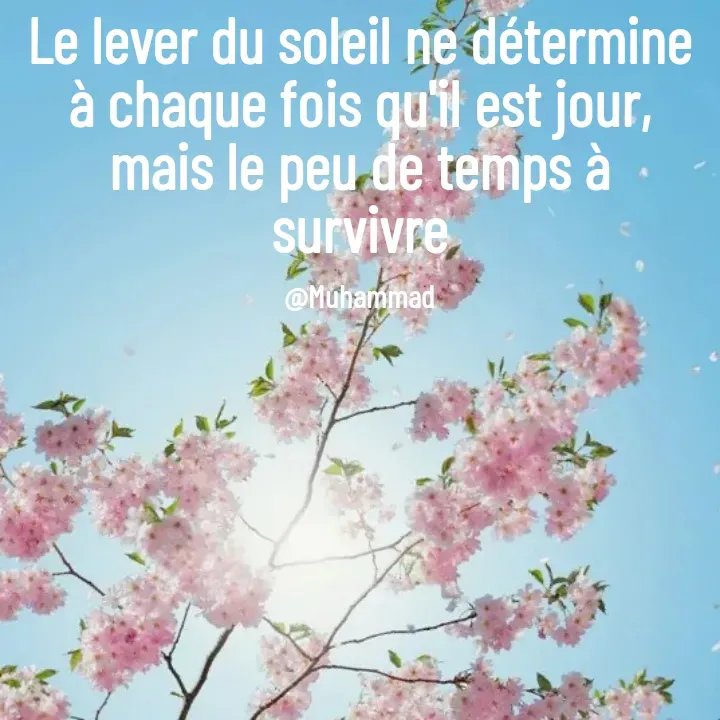 Quote by Muhammad - Le lever du soleil ne détermine à chaque fois qu'il est jour,
mais le peu de temps à survivre

@Muhammad - Made using Quotes Creator App, Post Maker App