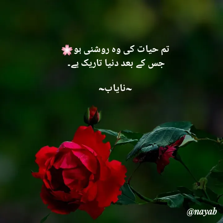 Quote by Ramla Ayoub🌼 - تم حیات کی وہ روشنی ہو🌸
جس کے بعد دنیا تاریک ہے۔ 

~نایاب~ - Made using Quotes Creator App, Post Maker App