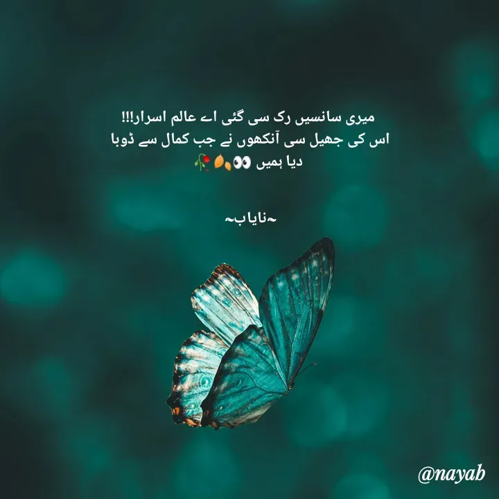Quote by Ramla Ayoub🌼 - میری سانسیں رک سی گئی اے عالم اسرار!!!
اس کی جھیل سی آنکھوں نے جب کمال سے ڈوبا 
دیا ہمیں 👀🍂🥀


~نایاب~ 
 - Made using Quotes Creator App, Post Maker App