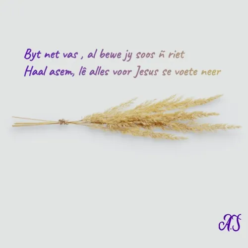 Quote by Angelique Scholtz - Byt net vas , al bewe jy soos ñ riet
Haal asem, lê alles voor Jesus se voete neer
 - Made using Quotes Creator App, Post Maker App