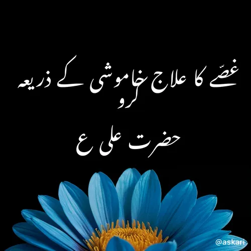 Quote by Naiyer Askari -  - Made using Quotes Creator App, Post Maker App