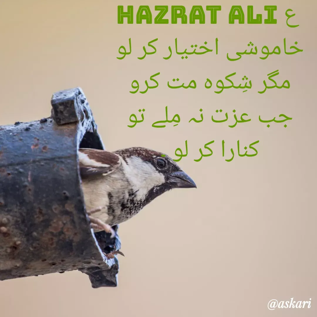 Quote by Naiyer Askari - Hazrat Ali ع 
خاموشی اختیار کر لو مگر شِکوہ مت کرو
جب عزت نہ مِلے تو کنارا کر لو ۔
 - Made using Quotes Creator App, Post Maker App