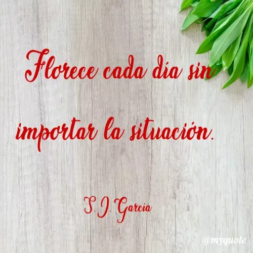 Quote by Yisel García - Florece cada dia sin
imporlar la siluación
n.
@myquote
 - Made using Quotes Creator App, Post Maker App