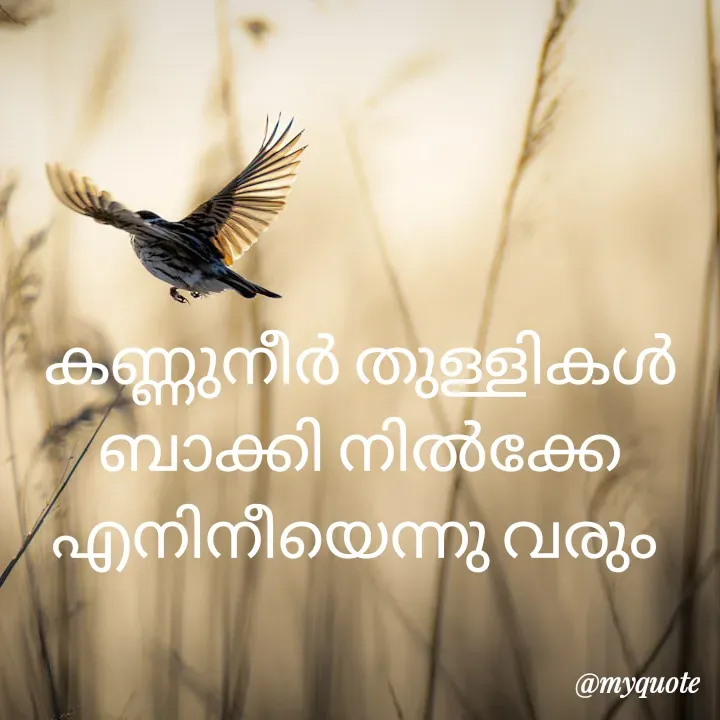 Quote by Syama Mv - കണ്ണുനീർ തുള്ളികൾ
ബാക്കി നിൽക്കേ
എനിനീയെന്നു വരും  - Made using Quotes Creator App, Post Maker App