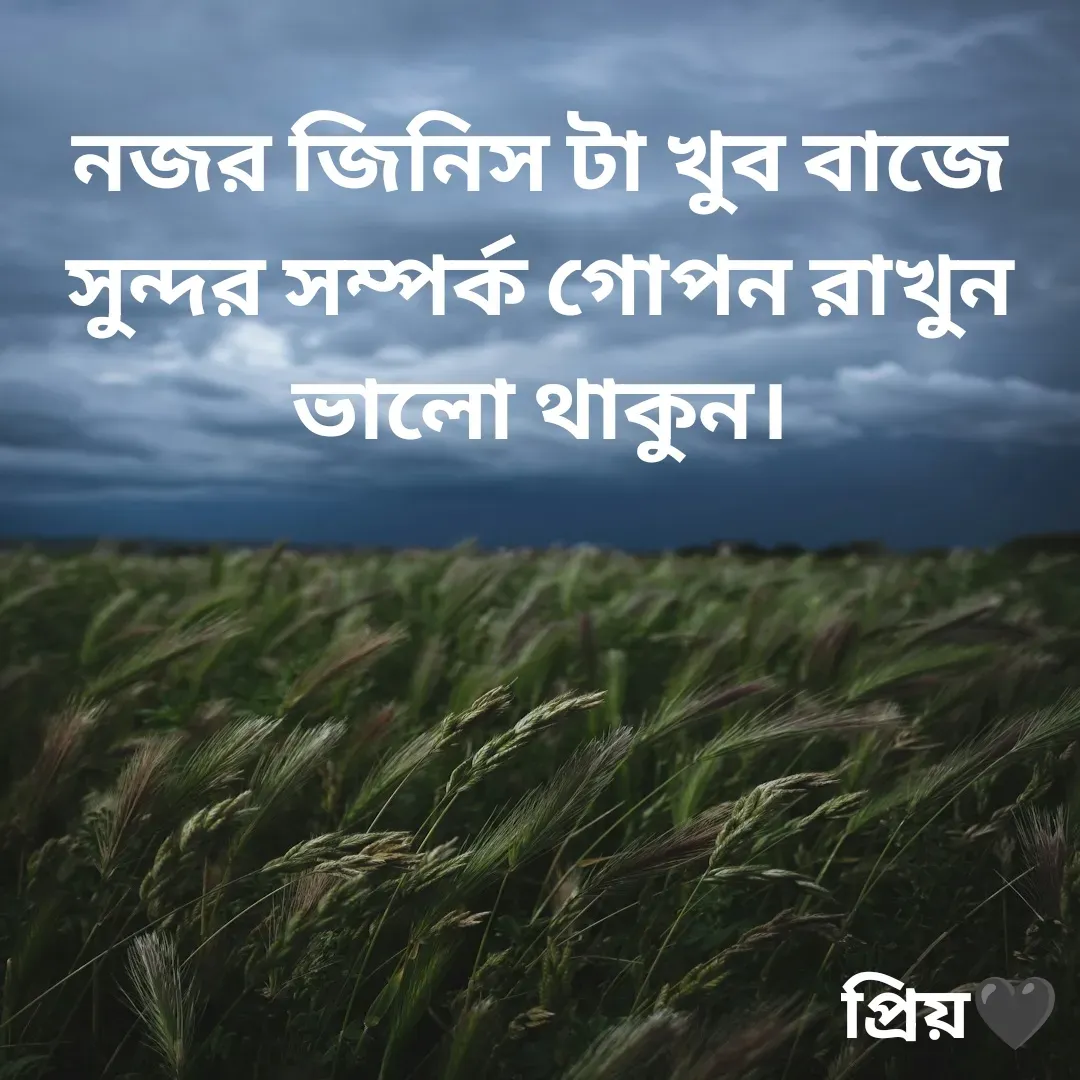 Quote by Partho Modak - নজর জিনিস টা খুব বাজে সুন্দর সম্পর্ক গোপন রাখুন ভালো থাকুন। - Made using Quotes Creator App, Post Maker App