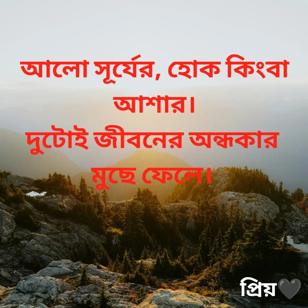 Quote by Partho Modak - আলো সূর্যের, হোক কিংবা আশার।
দুটোই জীবনের অন্ধকার
মুছে ফেলে।
 - Made using Quotes Creator App, Post Maker App