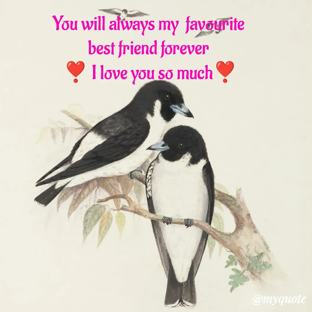 Quote by sundari.dream.quotes. - You will always my  favourite 
best friend forever 
❣️ I love you so much❣️ - Made using Quotes Creator App, Post Maker App