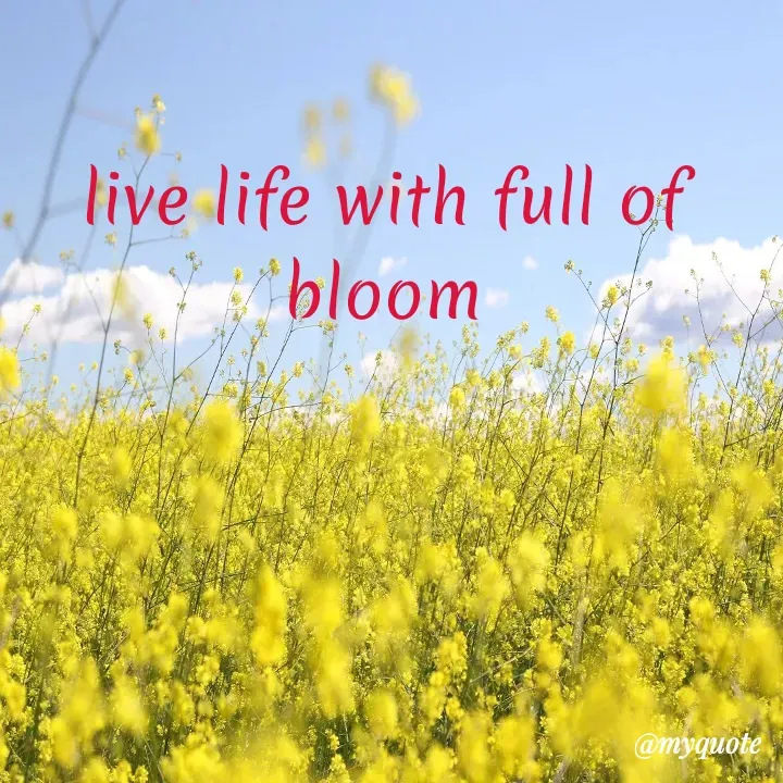 Quote by Gauri Khamanakar - live life with full of bloom - Made using Quotes Creator App, Post Maker App