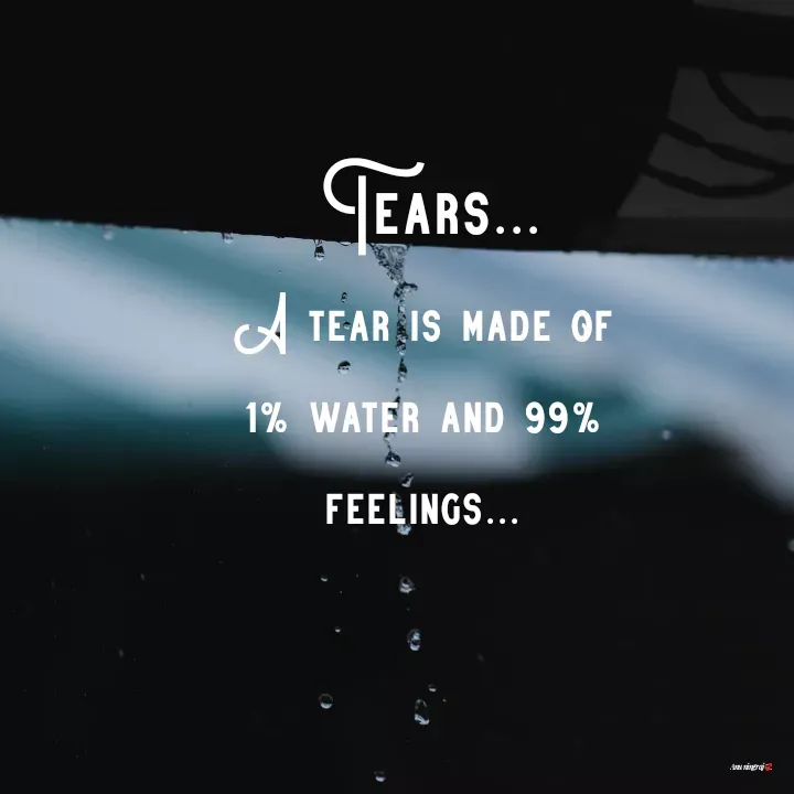 Quote by Anu Ningraj - Tears...A tear is made of 1% water and 99% feelings... - Made using Quotes Creator App, Post Maker App