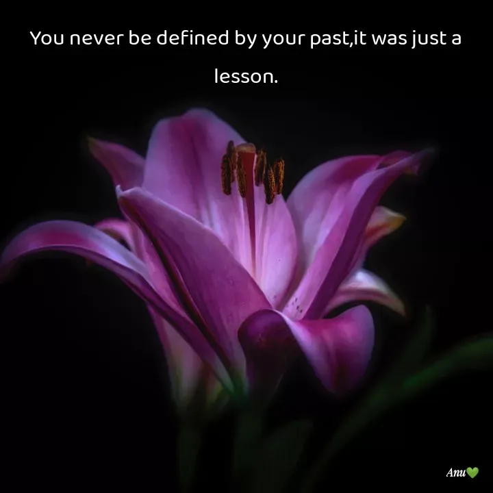 Quote by Anu Ningraj - You never be defined by your past,it was just a lesson. - Made using Quotes Creator App, Post Maker App