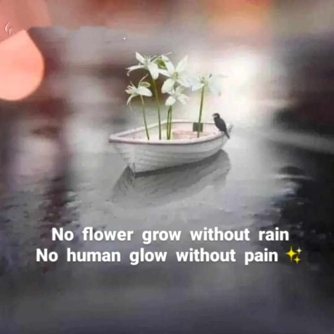 Quote by Miss Happiness - Double tap to change text. - Made using Quotes Creator App, Post Maker App