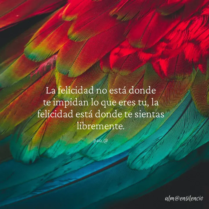 Quote by Tania Trejos - La felicidad no está donde te impidan lo que eres tu, la felicidad está donde te sientas libremente.

pao_@ - Made using Quotes Creator App, Post Maker App