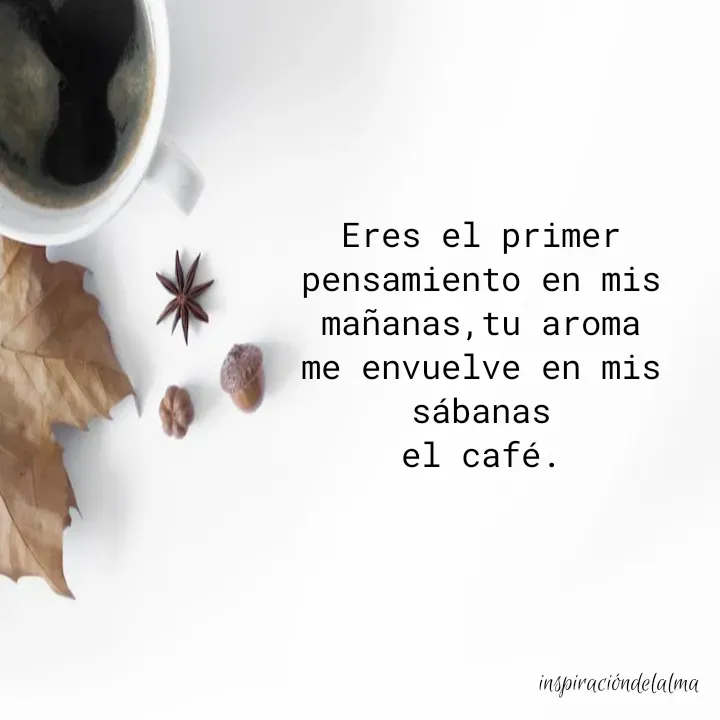 Quote by Tania Trejos - Eres el primer pensamiento en mis mañanas,tu aroma me envuelve en mis sábanas
el café. - Made using Quotes Creator App, Post Maker App