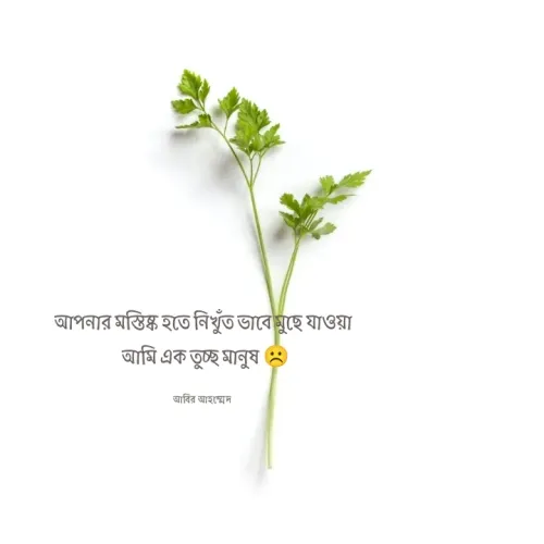 Quote by Abir Ahmed - আপনার মস্তিষ্ক হতে নিখুঁত ভাবে মুছে যাওয়া
 আমি এক তুচ্ছ মানুষ ☹️

আবির আহম্মেদ  - Made using Quotes Creator App, Post Maker App